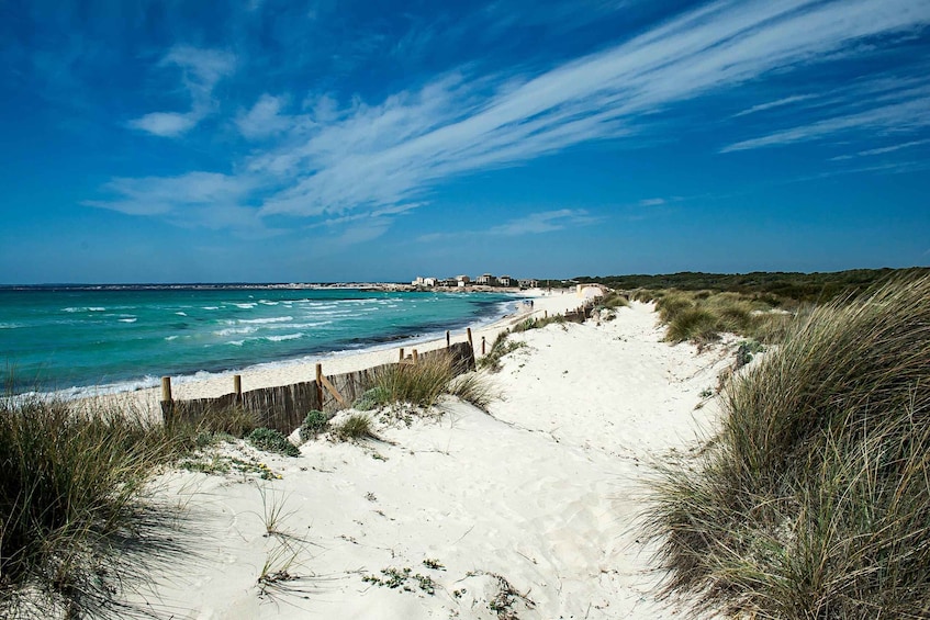 A sandy beach with a wooden fence, ocean waves, and a clear blue sky. 2