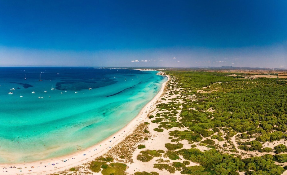 A coastal landscape with a sandy beach, clear turquoise waters, and dense green vegetation. 1