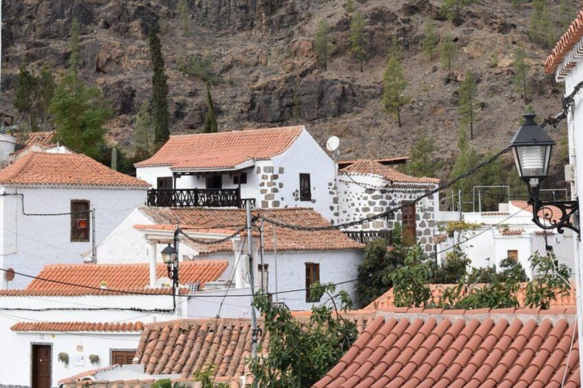 Private Tour Guide in Gran Canaria 3