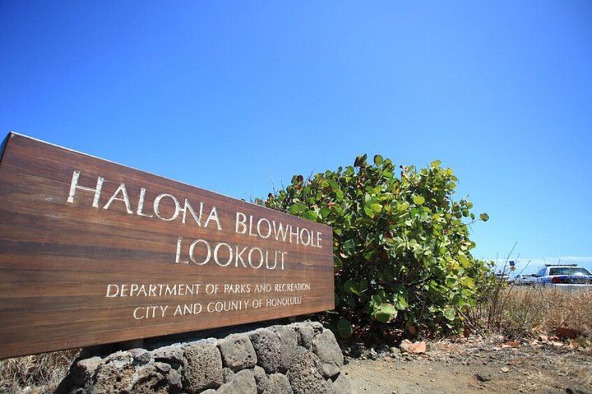 Oahu Island Sightseeing and Food Combo Tour 4