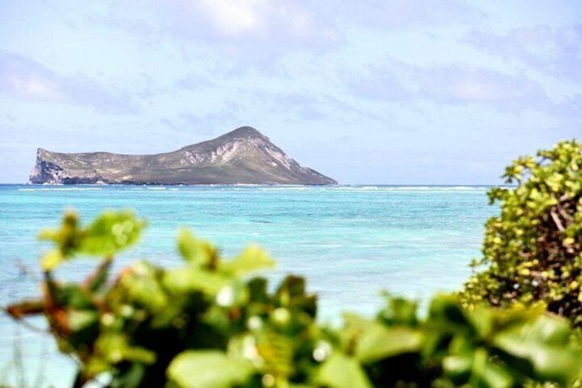 A mountain island surrounded by turquoise water, with greenery in the foreground. 3
