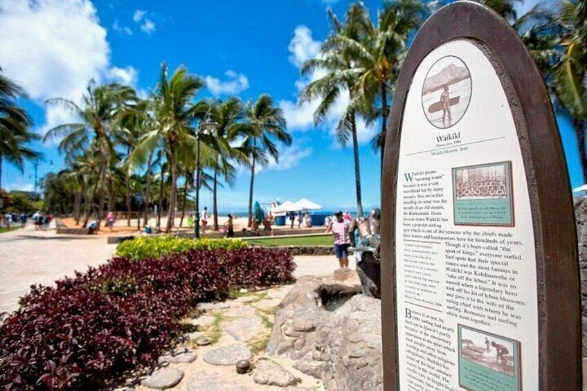A beachside walkway with palm trees, a signboard, and a clear blue sky. 4