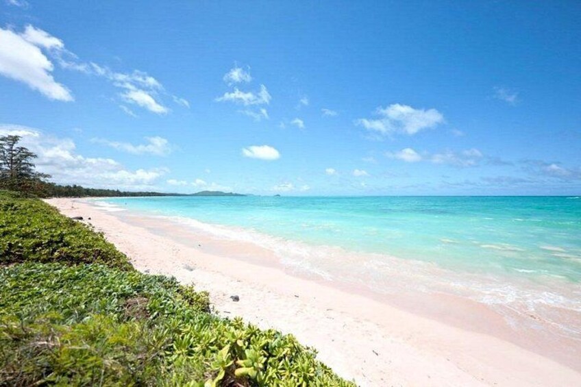 Oahu Island Sightseeing and Food Combo Tour 5