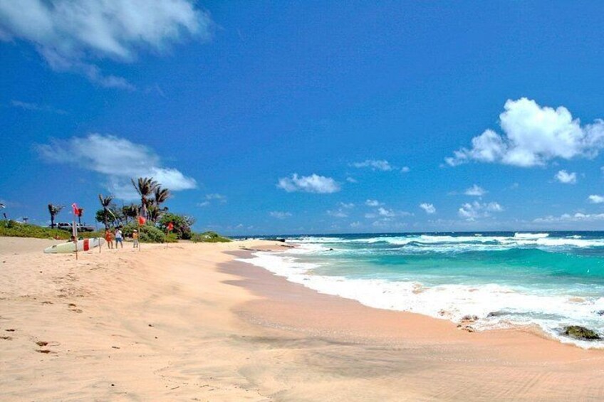 A beach with clear blue water, sandy shore, palm trees, and a few people. 5