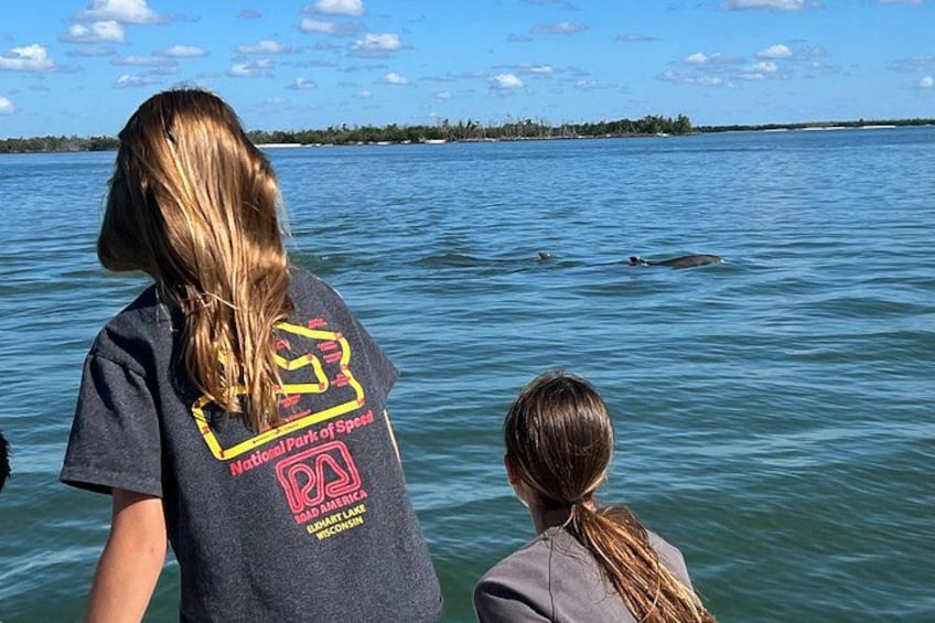 Two people observing dolphins in a body of water. 3