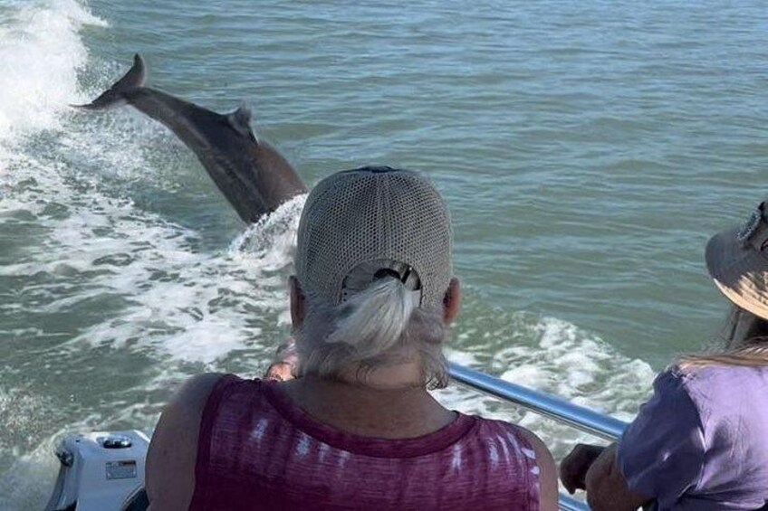 A person in a boat with a dolphin jumping out of the water. 2