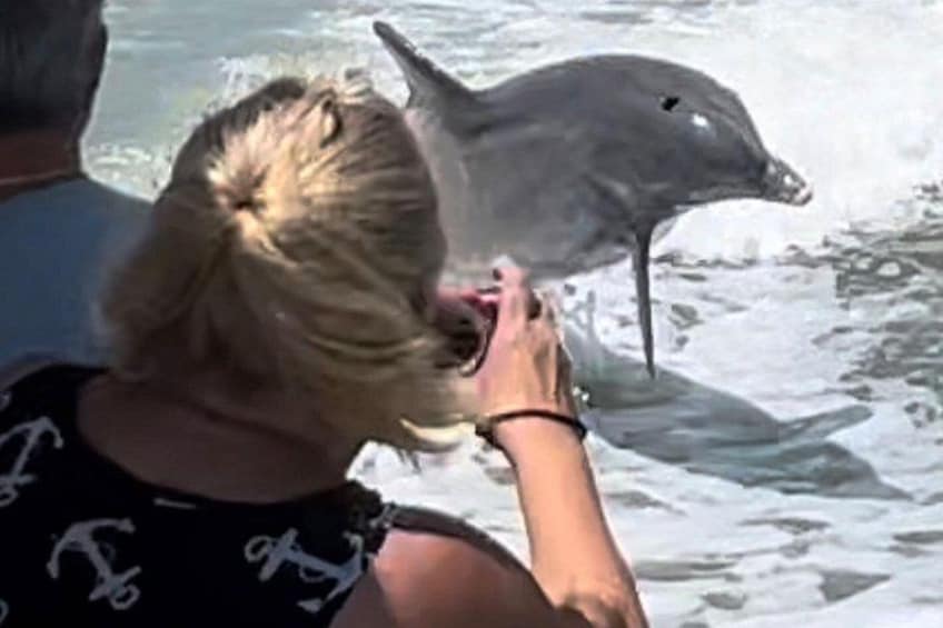 A person holding a dolphin in the water. 5