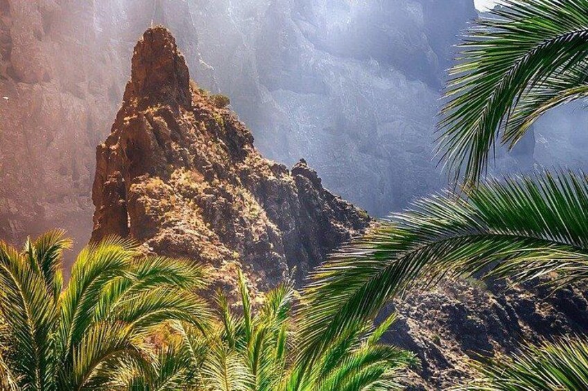 Tenerife North: Teide, Icod, Garachico and Masca - Guide included 2