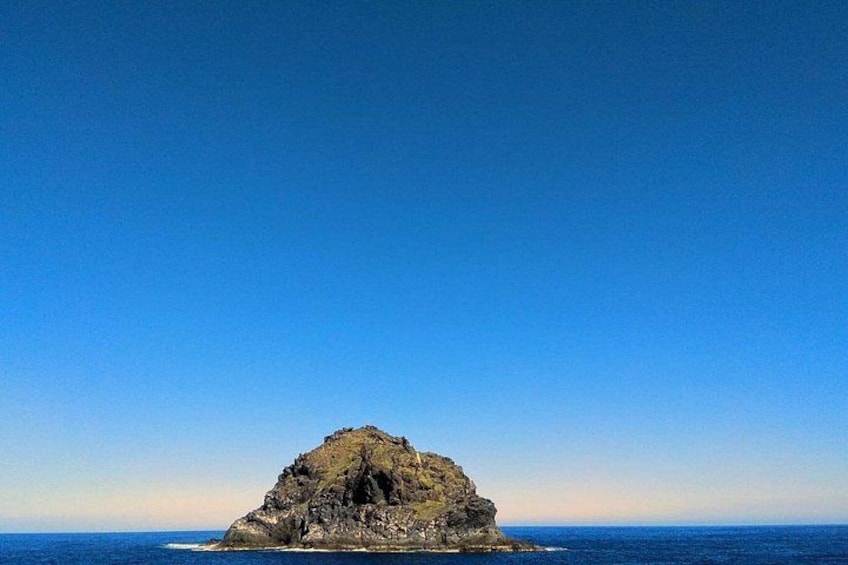 Tenerife North: Teide, Icod, Garachico and Masca - Guide included 5