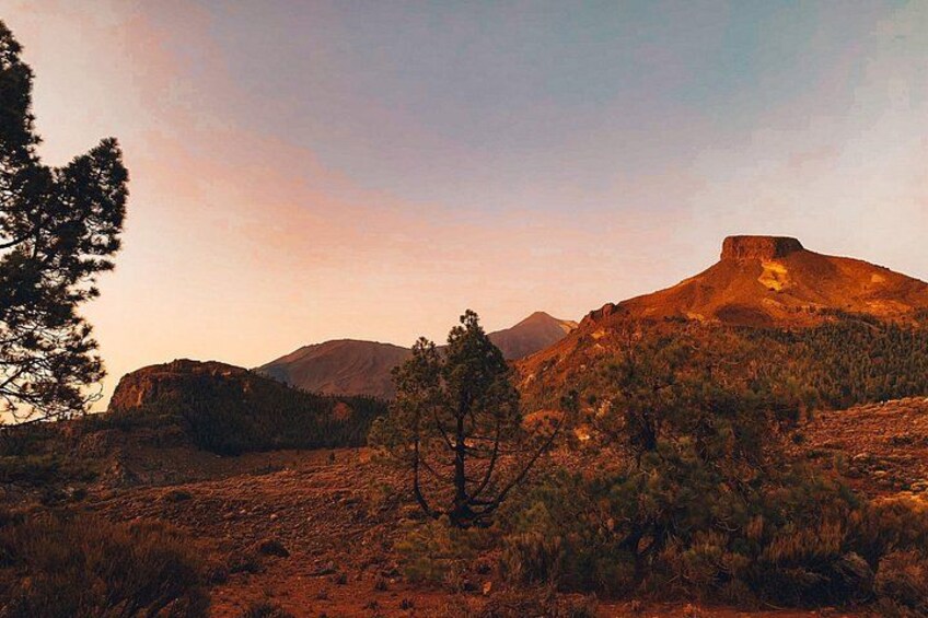 Tenerife North: Teide, Icod, Garachico and Masca - Guide included 3