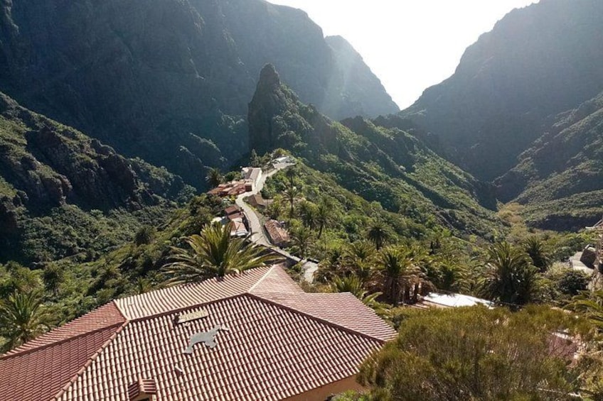 Tenerife North: Teide, Icod, Garachico and Masca - Guide included 4