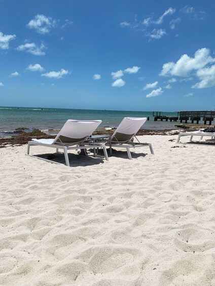 Key West Dolphin & Snorkel Adventure with Round-Trip Transport from Miami 4