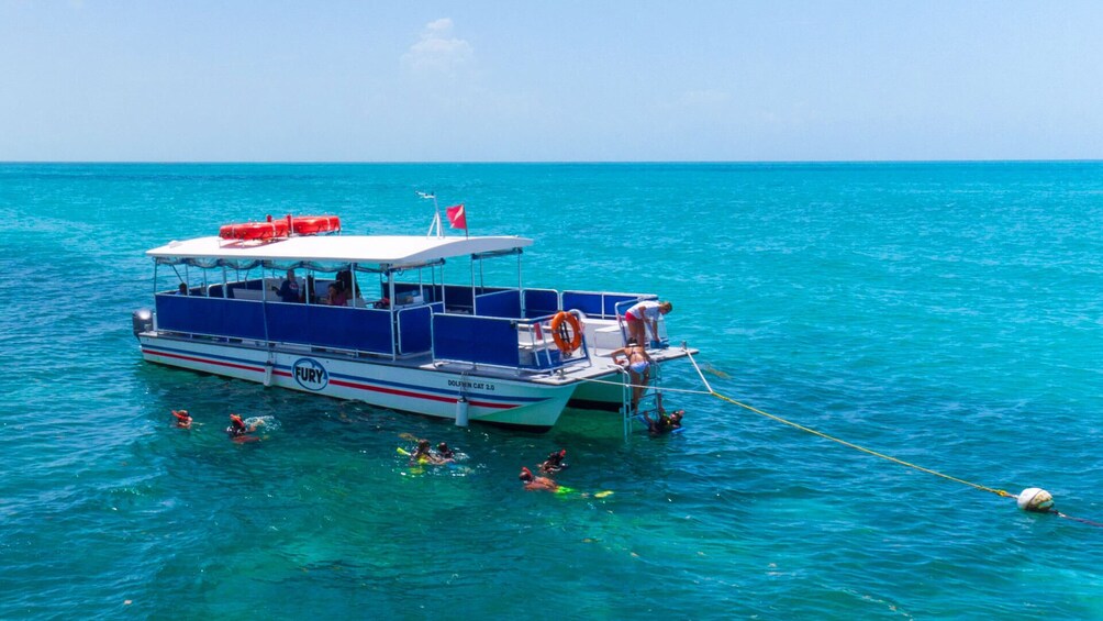 Key West Dolphin & Snorkel Adventure with Round-Trip Transport from Miami 1
