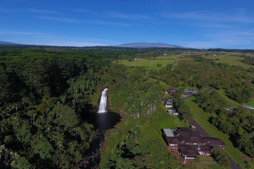 A waterfall, lush greenery, and a residential area with houses. 3
