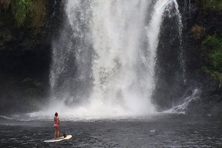 A waterfall, a person on a surfboard, and a forested area. 2