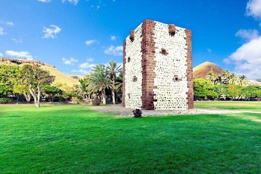 Full Day Guided Tour to La Gomera from Tenerife 3