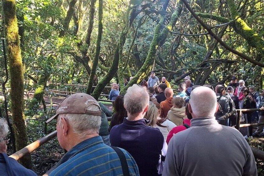 A group of people gathered in a forested area with trees and a wooden structure. 2
