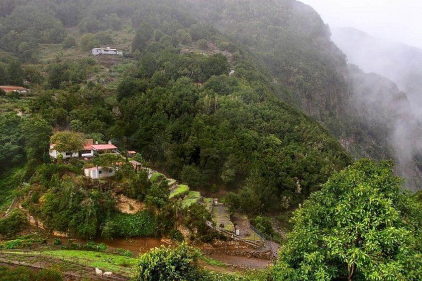 Full Day Guided Tour to La Gomera from Tenerife 3