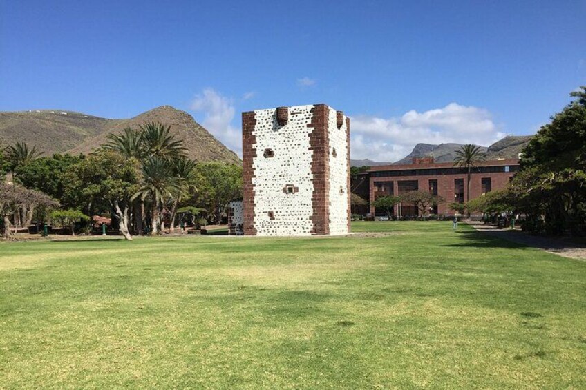 Full Day Guided Tour to La Gomera from Tenerife 3