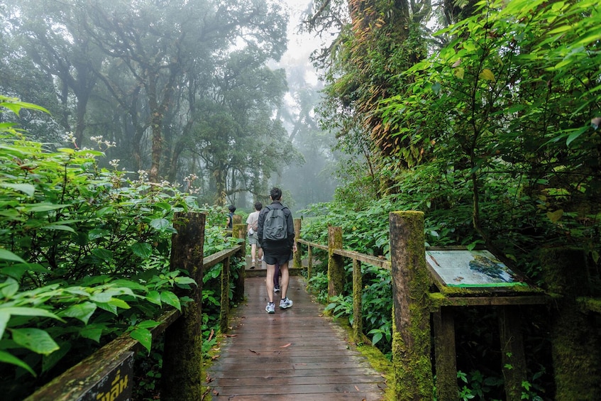 Chiang Mai Day Trip to Doi Inthanon National Park and Waterfalls 2