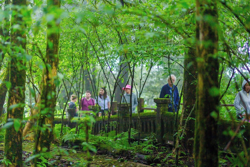 Chiang Mai Day Trip to Doi Inthanon National Park and Waterfalls 3