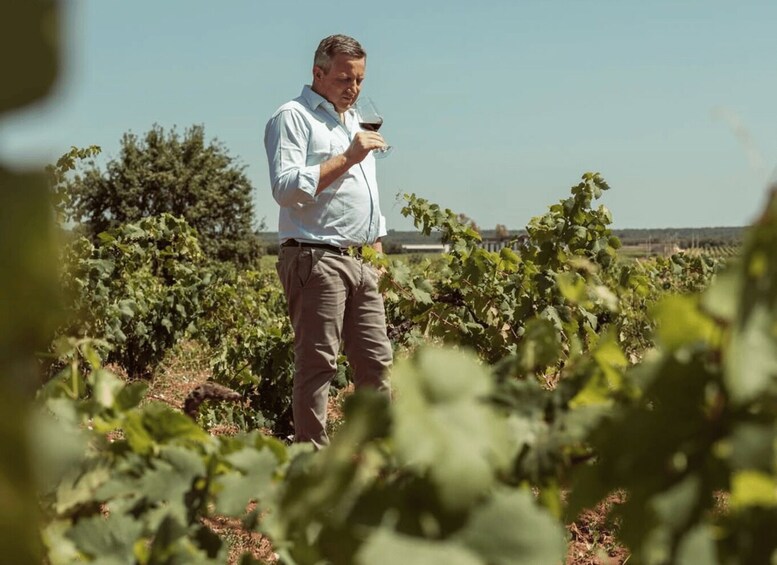 Vineyard Walk and Tasting at a Masseria Winery in Taranto 1