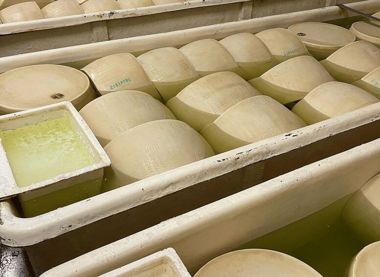 Picture 12 for Activity Parmesan Cheese Tour & Tasting in Modena 2