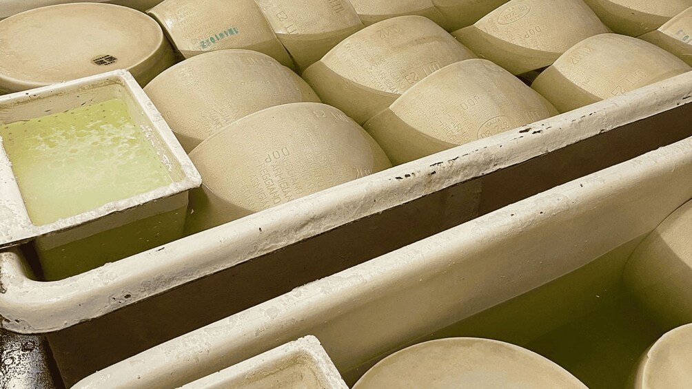 Picture 12 for Activity Parmesan Cheese Tour & Tasting in Modena 2