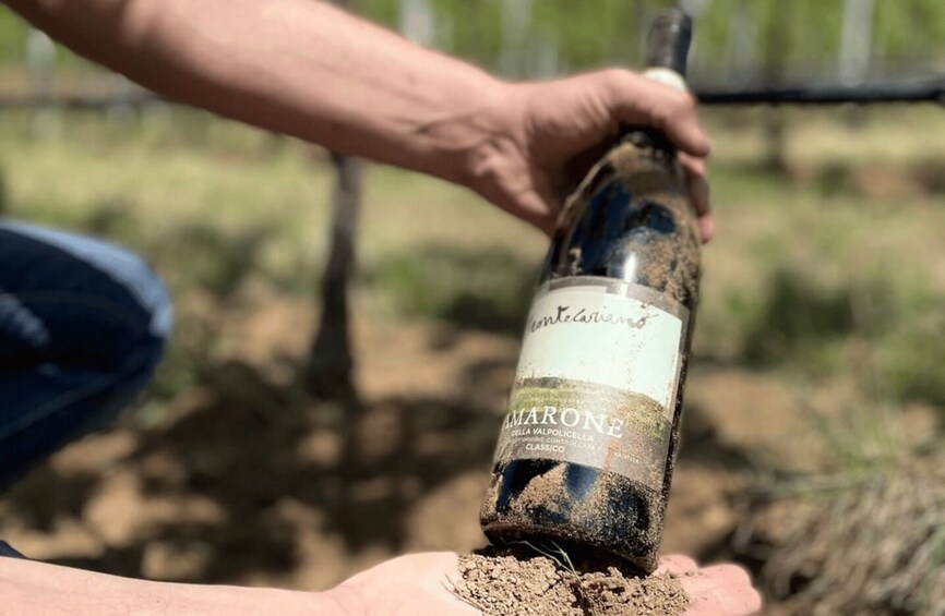 Boutique Winery Tour & Tasting in Valpolicella 1