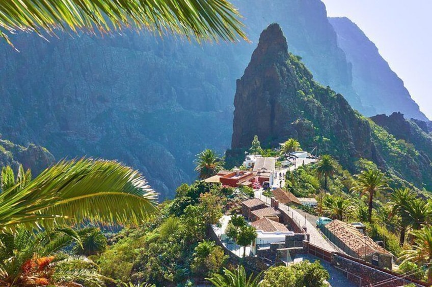Masca Teide Full Day Panoramic Bus Cabrio from South 5