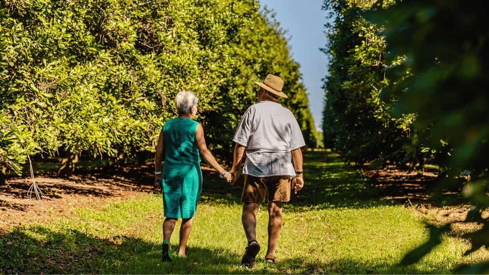 Two people walking down a tree-lined path. 5