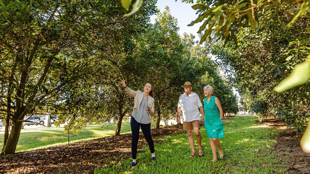 Three people walking in a park with trees and grass. 1