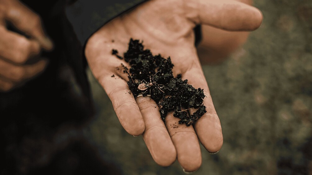 A hand holding soil. 2