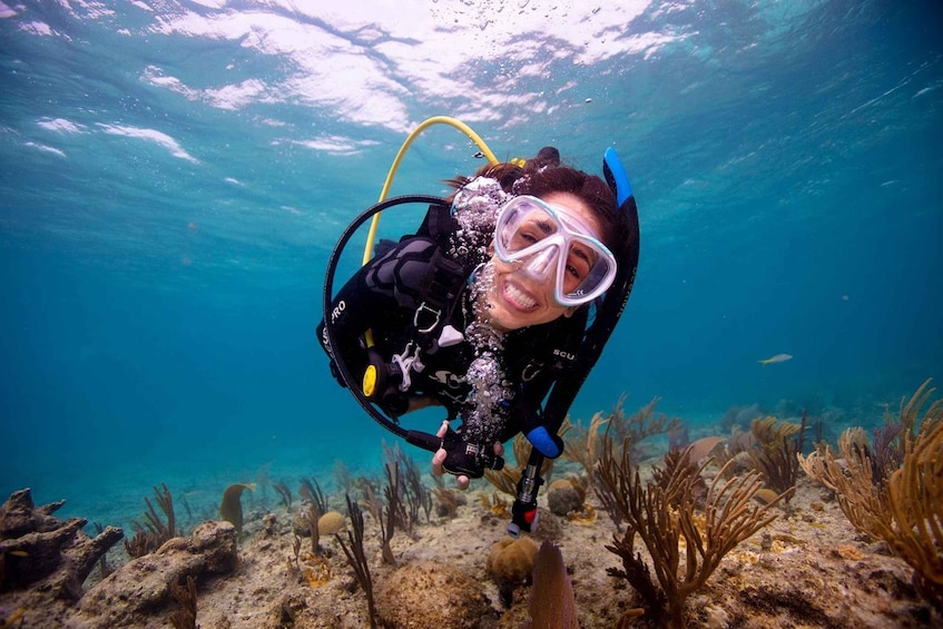 A diver underwater with a scuba tank and fins. 2