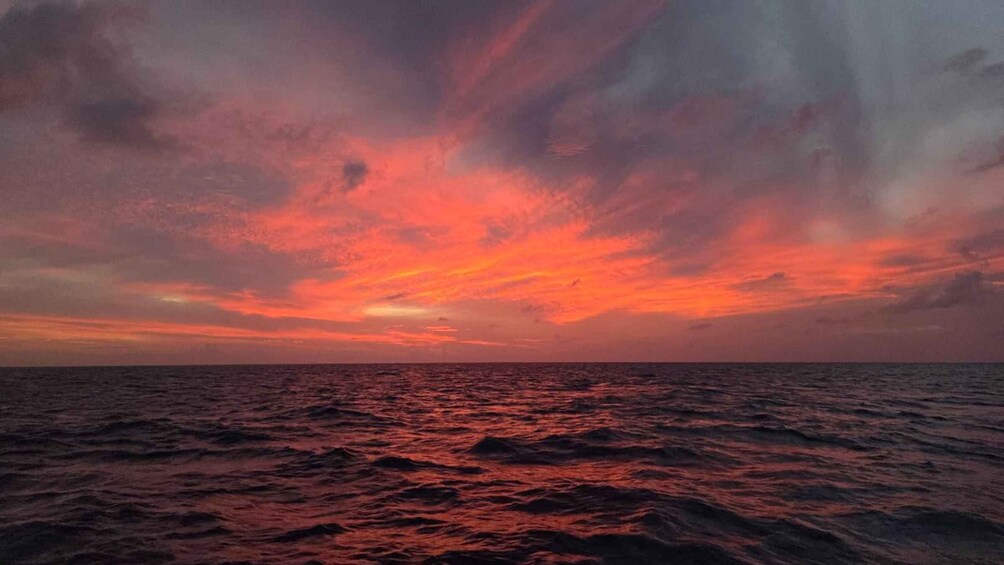 Atardecer sobre el océano con un cielo vibrante y olas. 5