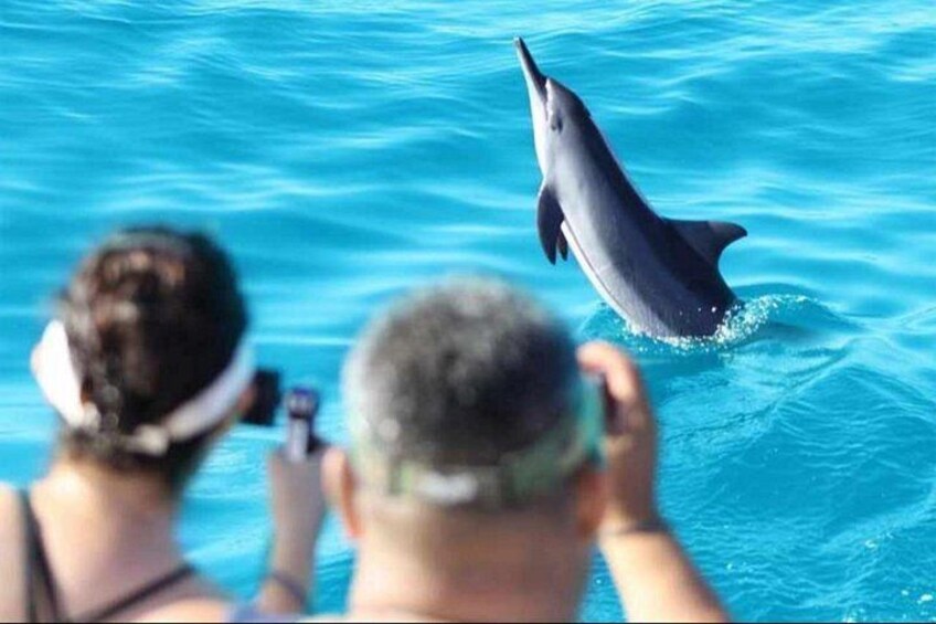 Muscat Dolphin Watching Boat Amazing Trip 3