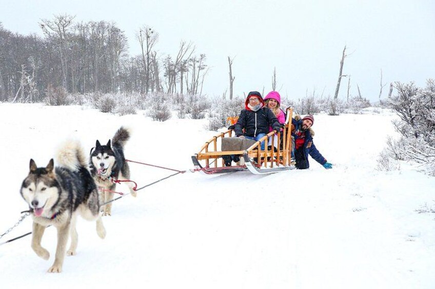 Un trineo tirado por perros husky, un grupo de personas y un paisaje nevado con árboles dispersos. 4