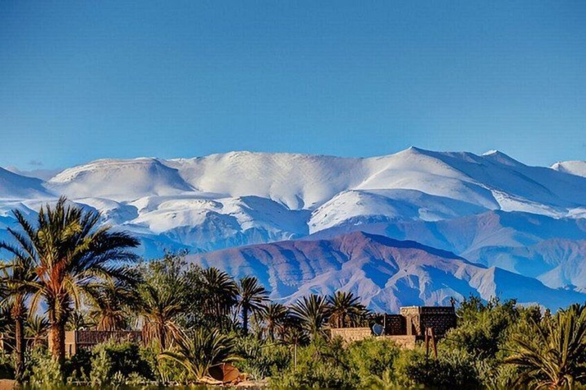 A mountainous landscape with snow-capped peaks, palm trees, and a clear blue sky. 2
