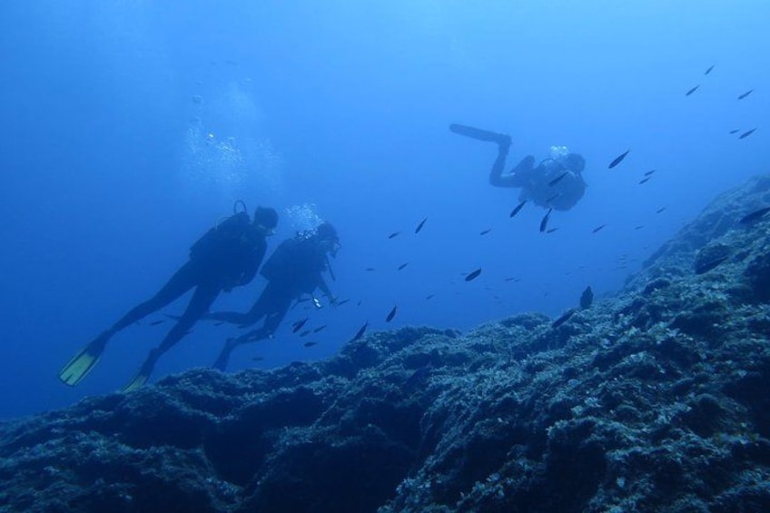 Two scuba divers underwater with a coral reef and fish in the background. 1