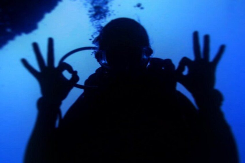 A silhouette of a person making a hand gesture. 3