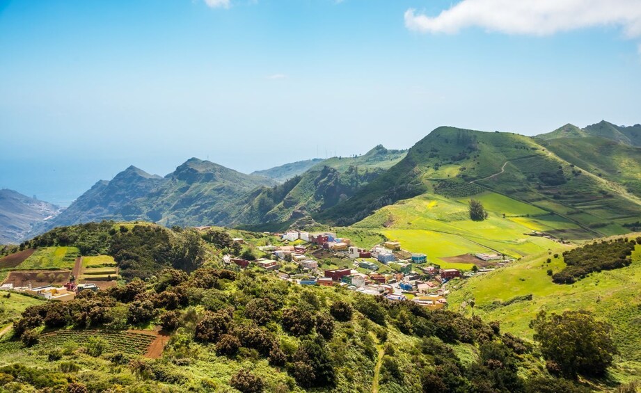 Hidden Corners of Tenerife: Taganana, Candelaria & Anaga Forest Adventure 5