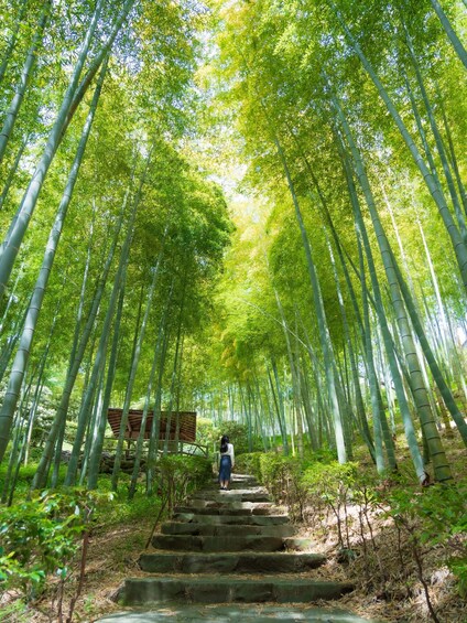 Picture 8 for Activity Atami: MOA Museum of Art Admission Package 3