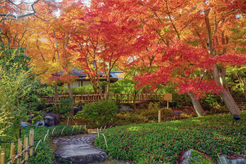 Atami: MOA Museum of Art Admission Package 1