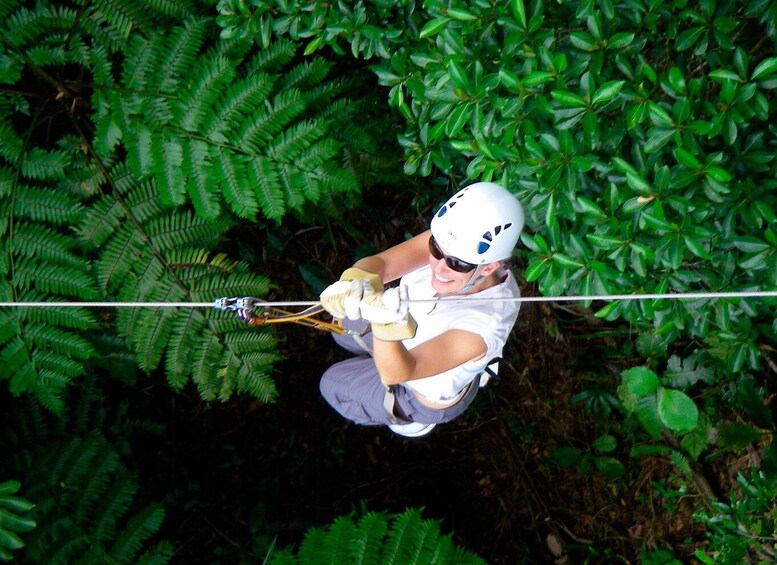 A person zip-lining through a forest. 1