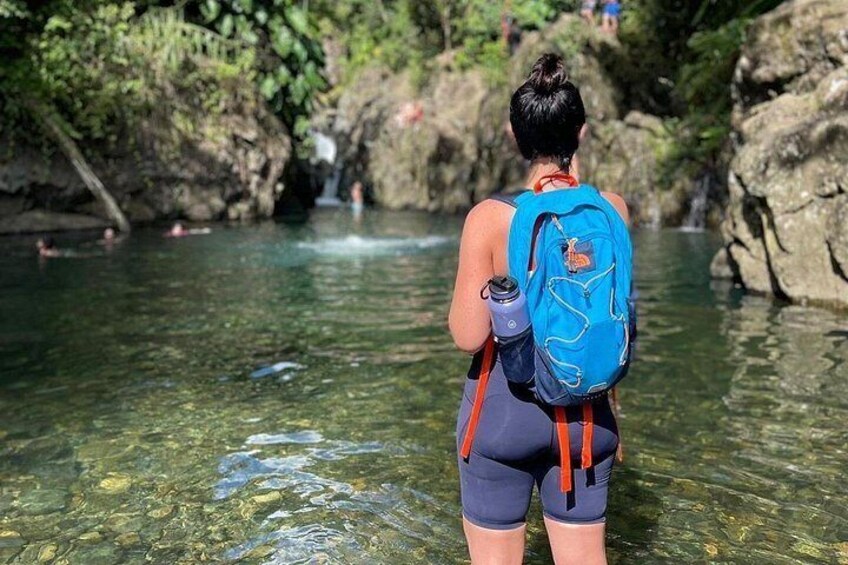 El Yunque Tour with Luquillo Lunch Stop and Transport: 6 ppl Max 3