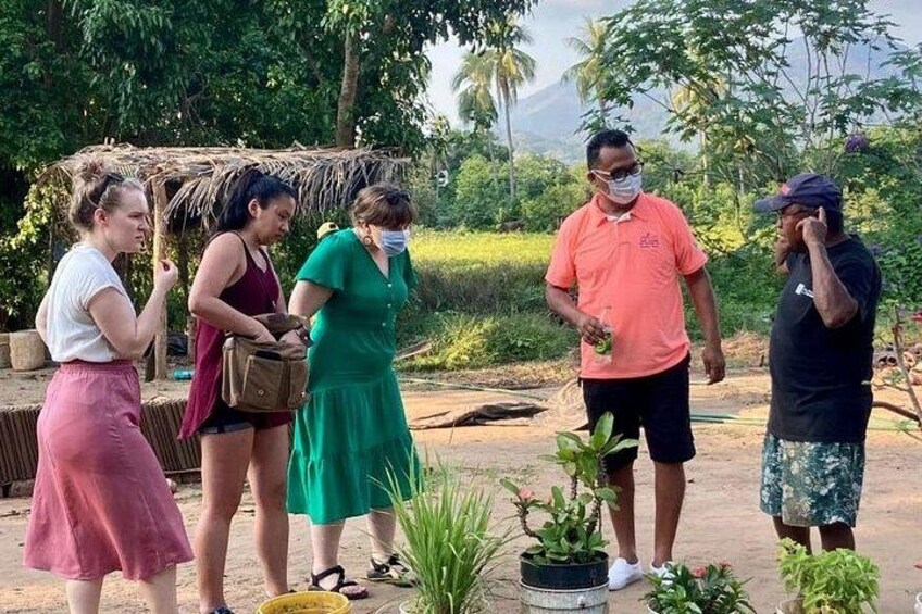 A group of people standing outdoors, some holding plants, with a thatched structure and greenery in the background. 2