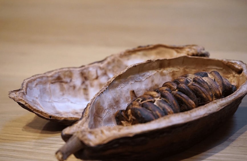 A dried, open seed pod with a spiral structure inside. 4
