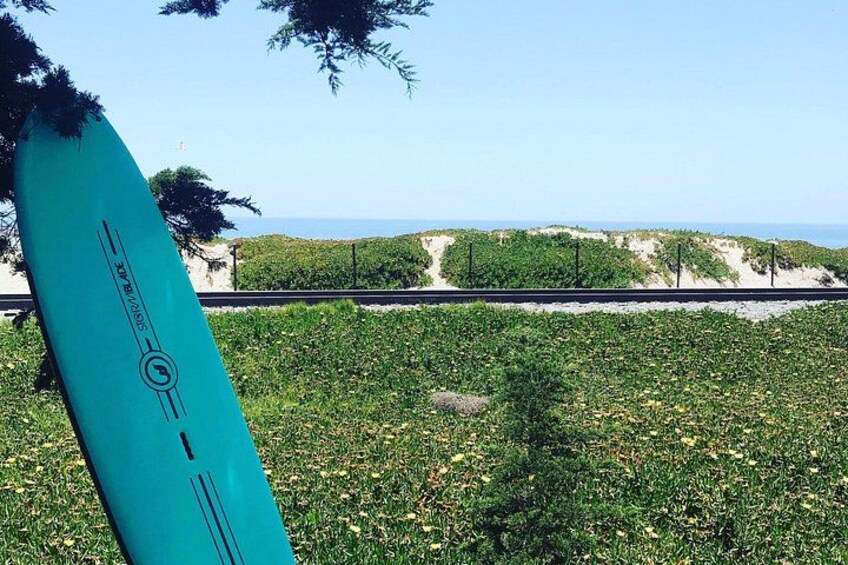 A turquoise surfboard leaning against a tree, a grassy area, and a distant beach with dunes. 1