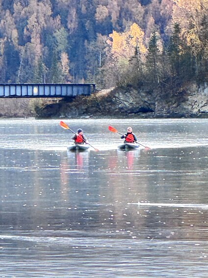 Picture 1 for Activity Full Day Knik River Tour 2