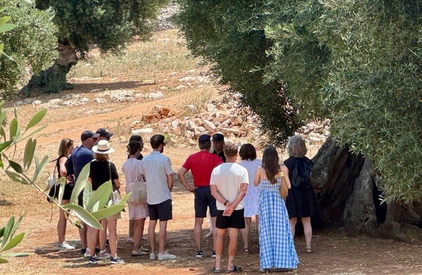 A group of people standing on a dirt path, looking at a rocky outcrop. 4